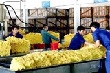 Thúc đẩy công nghiệp chế biến cao su, giảm xuất thô